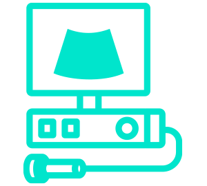 Ultrasonido 11-13.6